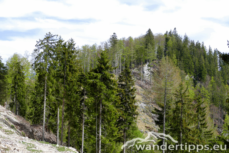 Großer Sulzberg Abbildung 11