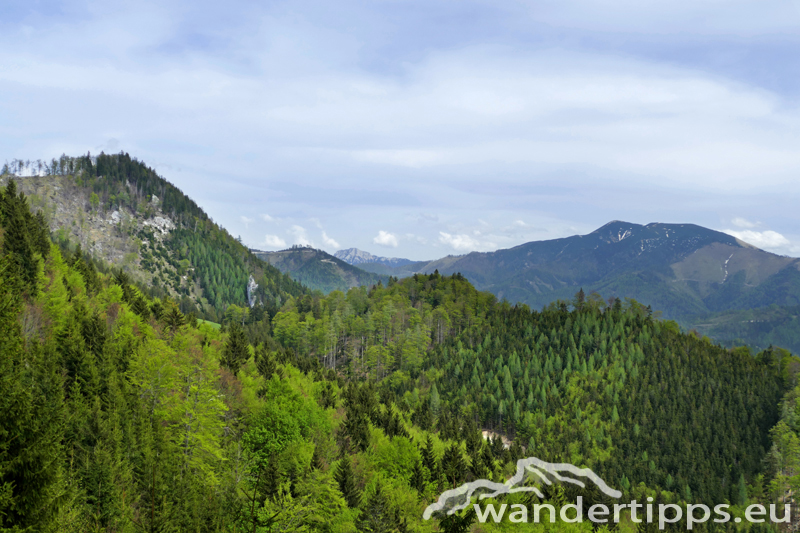 Großer Sulzberg Abbildung 12