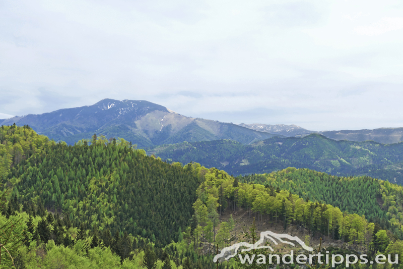 Großer Sulzberg Abbildung 3