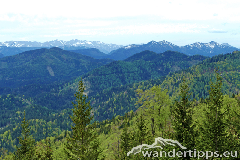 Großer Sulzberg Abbildung 4