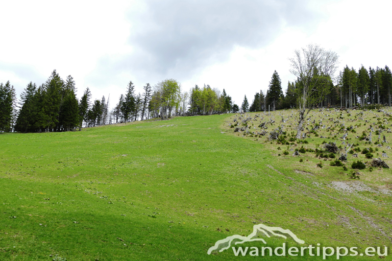 Großer Sulzberg Abbildung 5