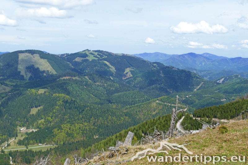 Großer Sulzberg Abbildung 7