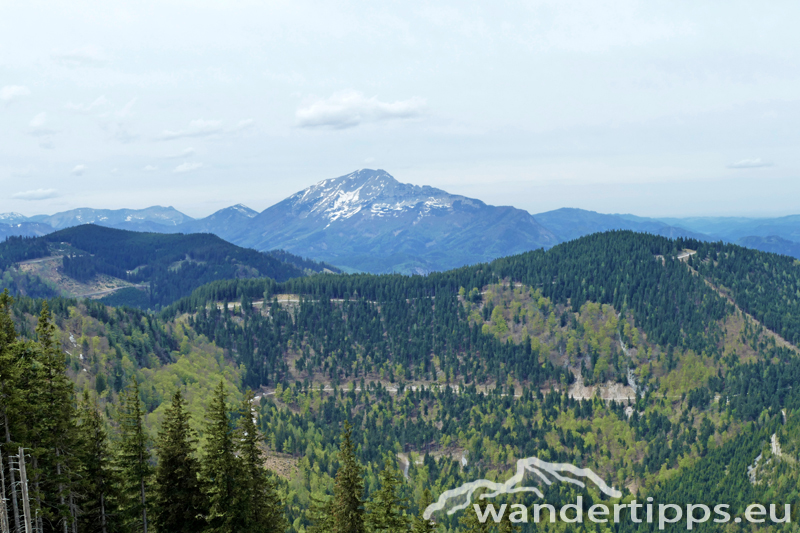 Großer Sulzberg Abbildung 8