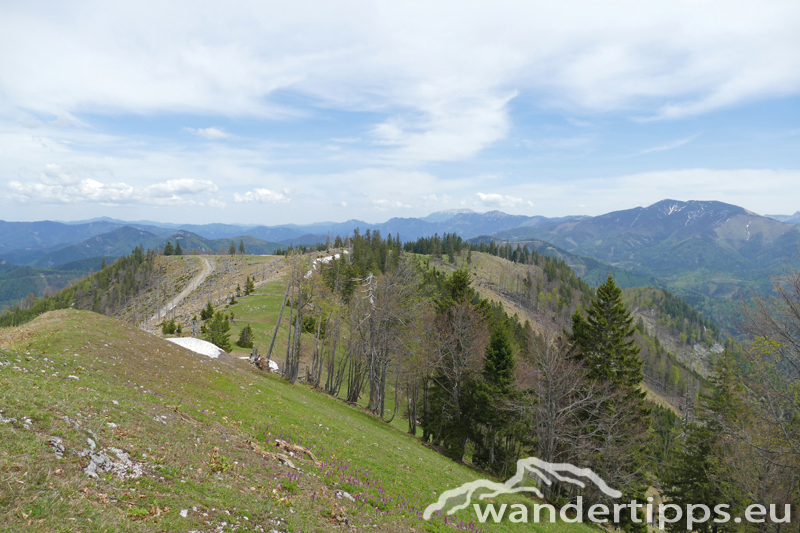 Großer Sulzberg Abbildung 9