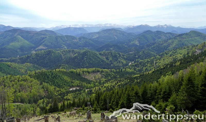 Großer Sulzberg Abbildung 10