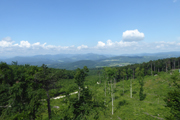 Hoher Lindkogel von Norden Abbildung 11