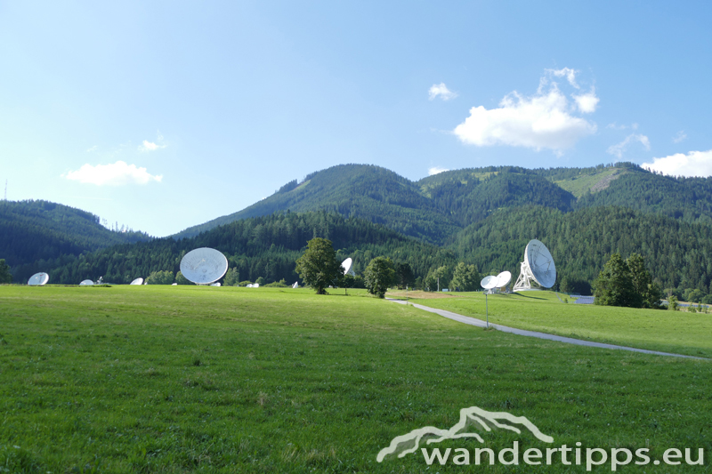 Schießling Abbildung 2