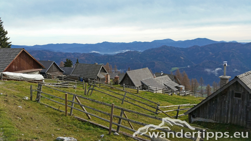 Schießling Abbildung 13