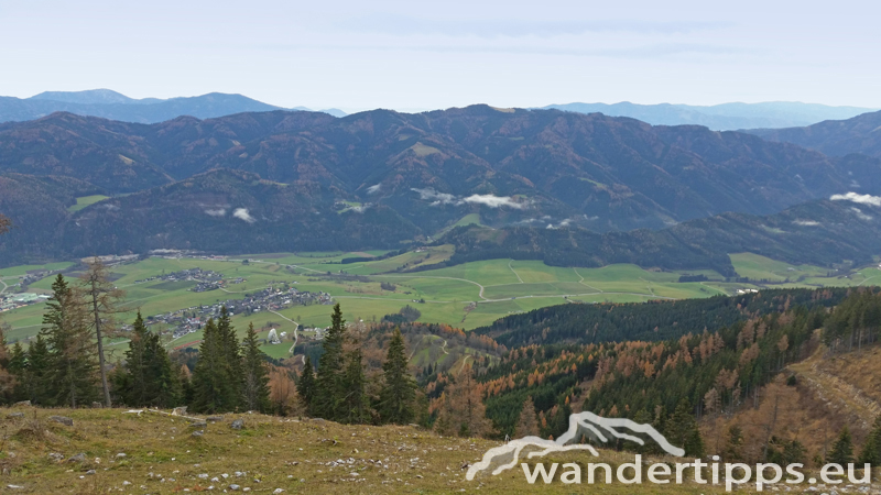 Schießling Abbildung 14