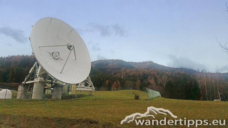 Schießling Abbildung 16