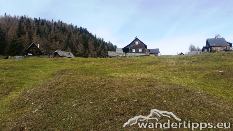 Schießling Abbildung 5