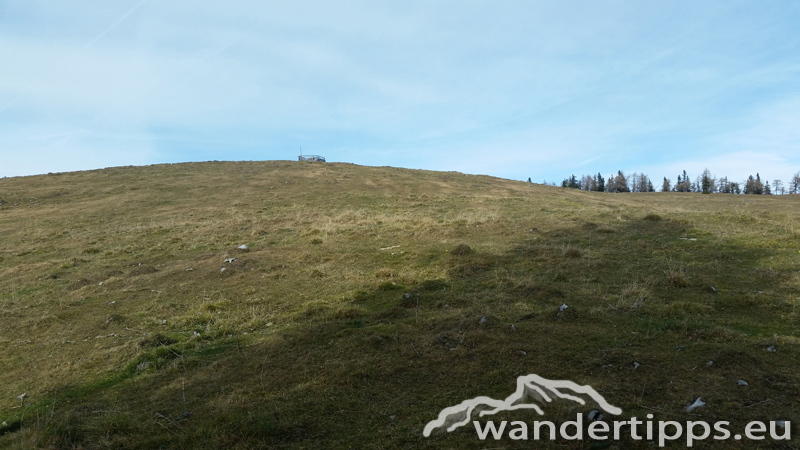 Schießling Abbildung 9