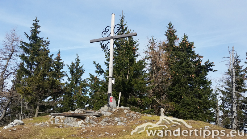 Schießling Abbildung 10