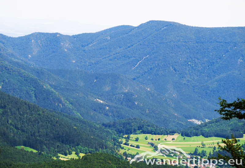 Großer Neukogel Abbildung 11