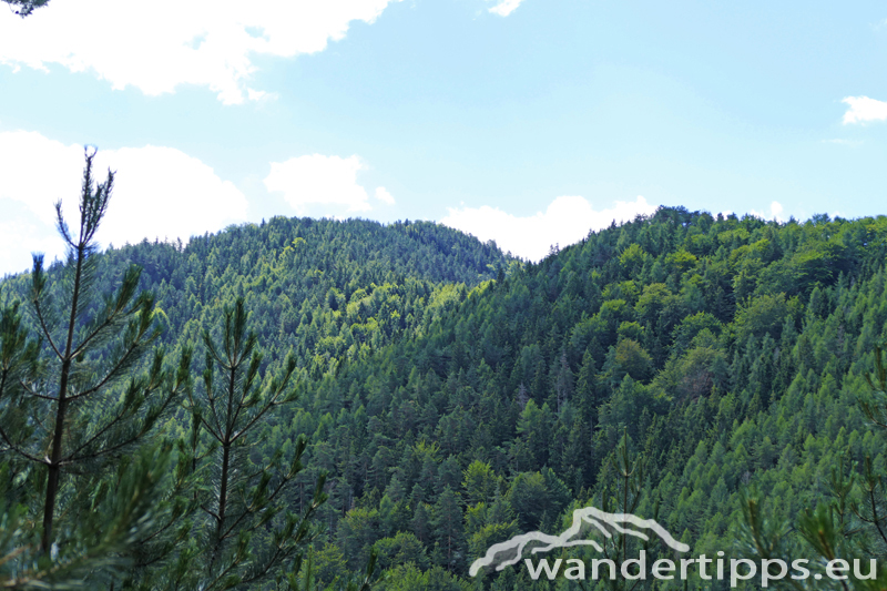 Großer Neukogel Abbildung 6