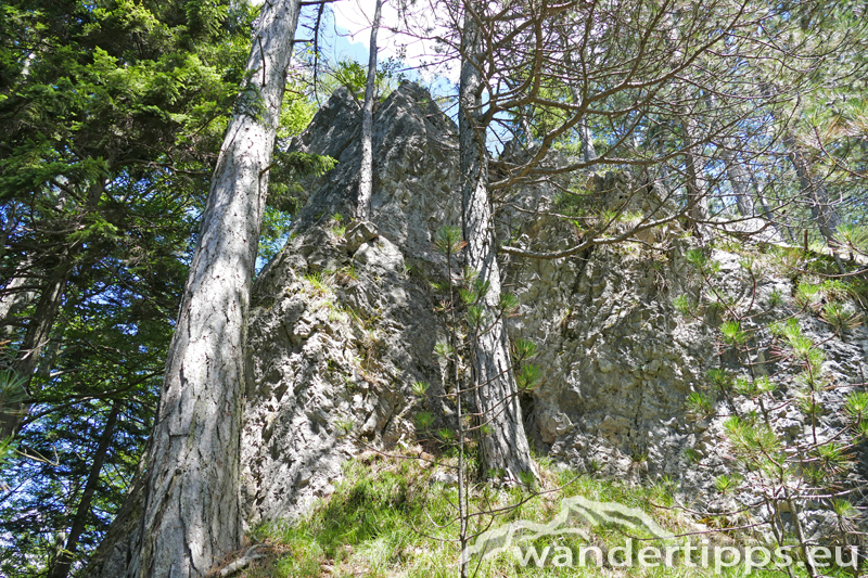 Großer Neukogel Abbildung 7