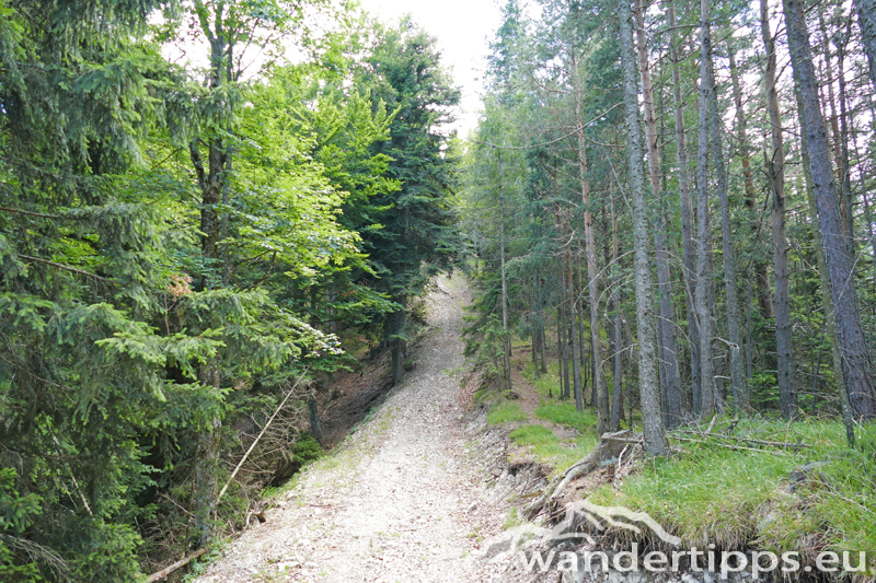 Großer Neukogel Abbildung 9