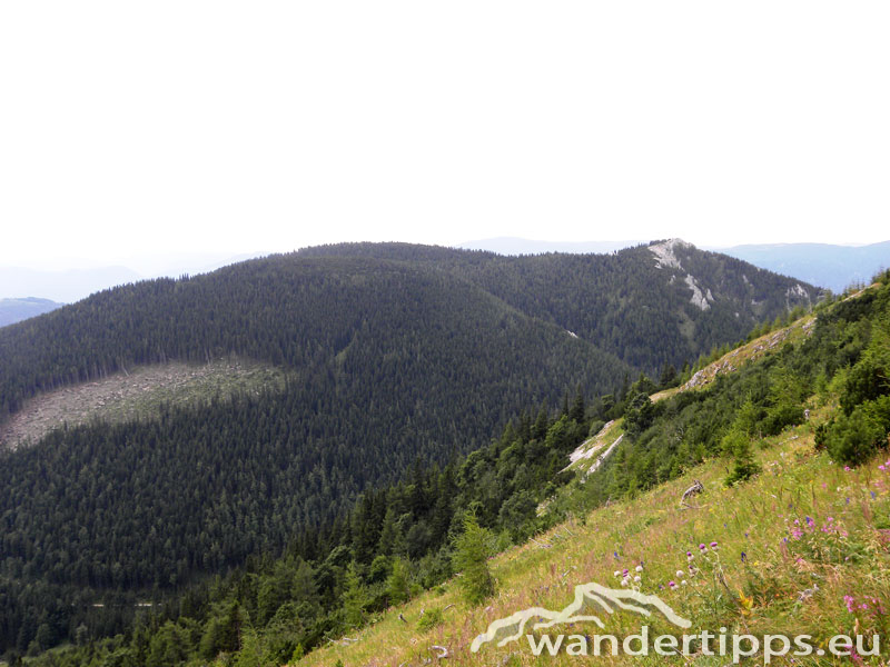 Schneeberg von Osten Abbildung 7
