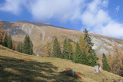 Finsterkopf/Tofernscharte Abbildung 6