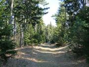 Flatzer Wand/Gösing Abbildung 12