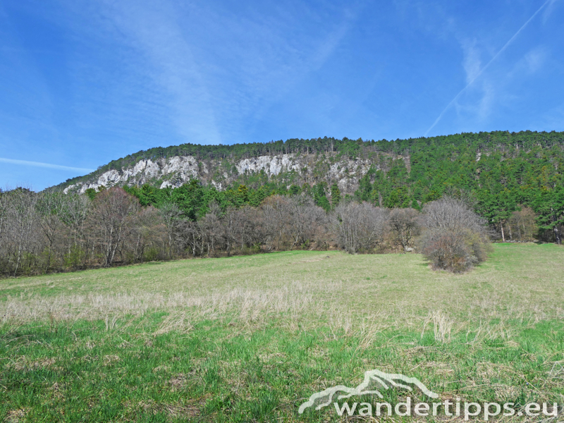 Flatzer Wand/Gösing Abbildung 2