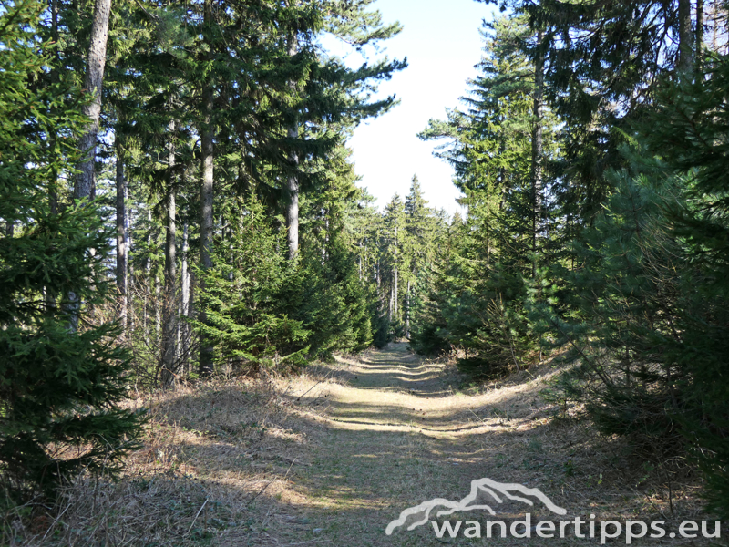 Flatzer Wand/Gösing Abbildung 12