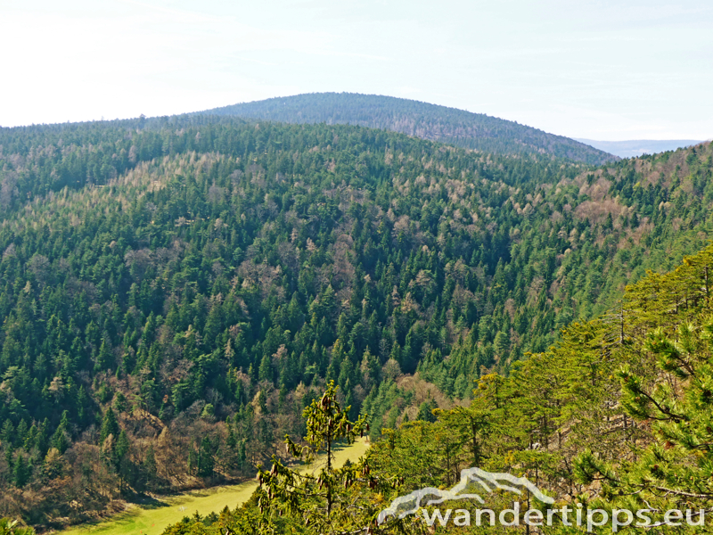 Flatzer Wand/Gösing Abbildung 5