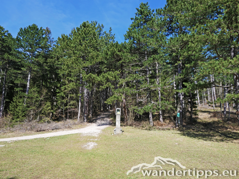 Flatzer Wand/Gösing Abbildung 8