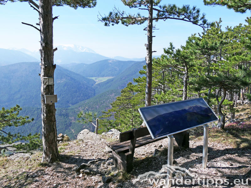 Flatzer Wand/Gösing Abbildung 9