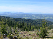 Plöckenstein Abbildung 5