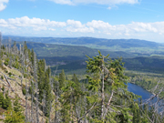 Plöckenstein Abbildung 9