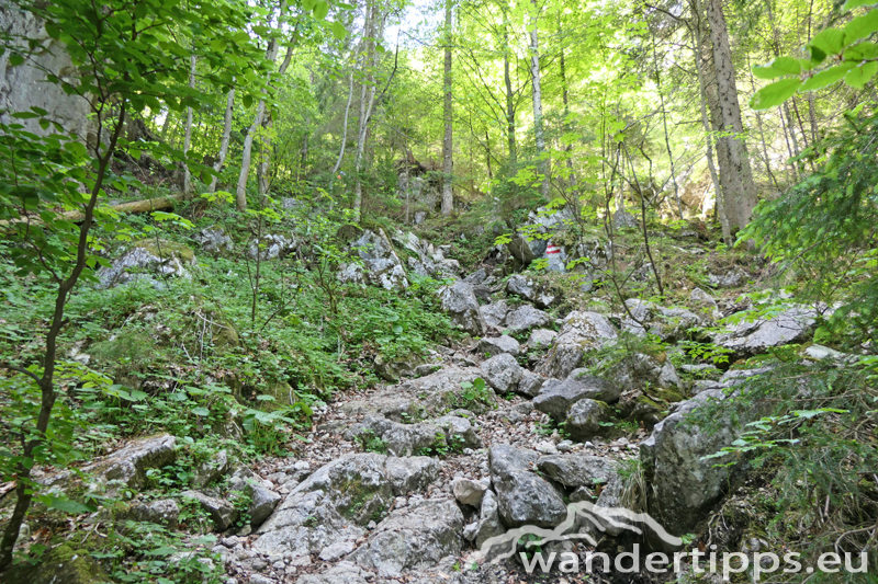 Dümlerhütte Abbildung 4
