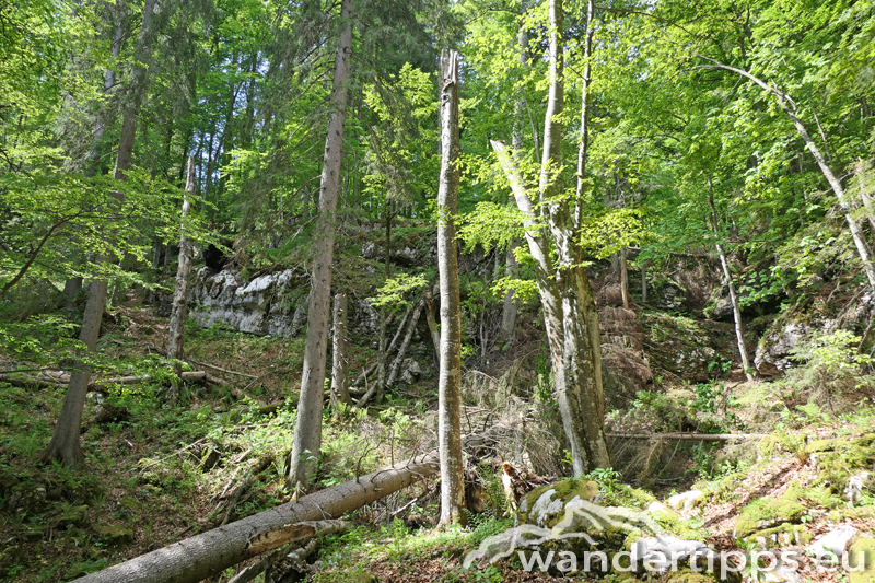 Dümlerhütte Abbildung 5