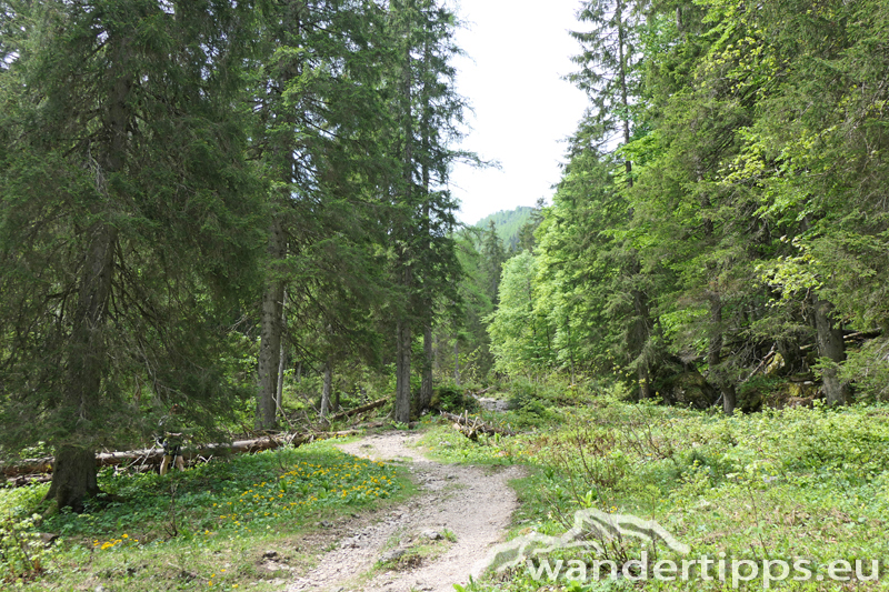 Dümlerhütte Abbildung 7