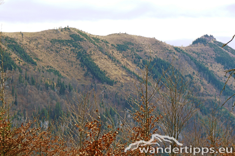 Gamsstein Abbildung 12