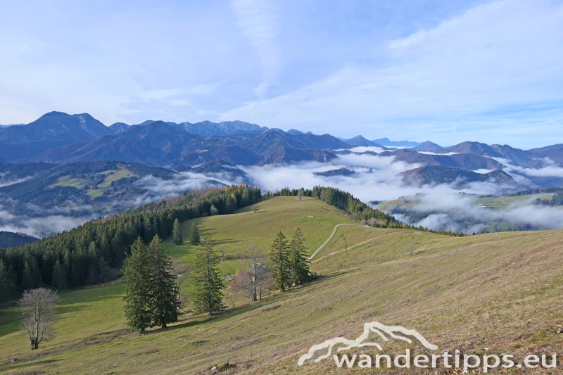 Gamsstein Abbildung 5