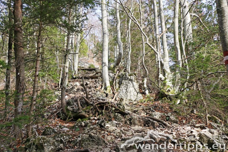 Gamsstein Abbildung 6