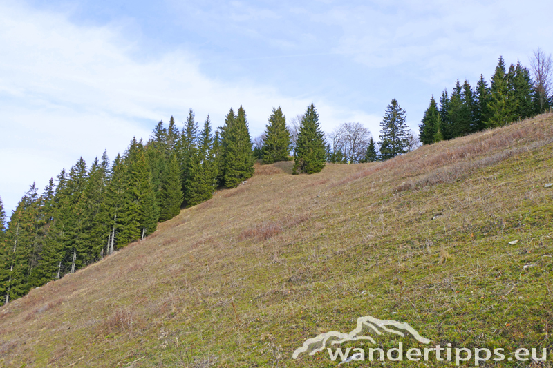 Gamsstein Abbildung 8