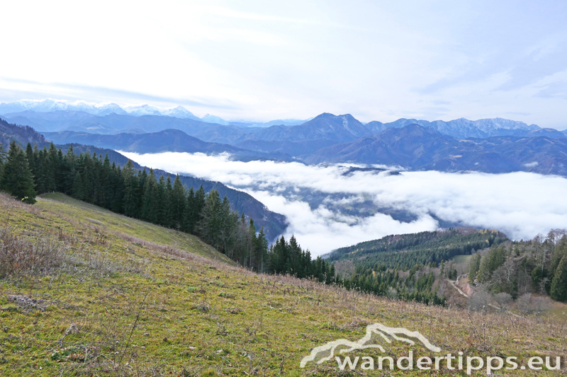 Gamsstein Abbildung 9