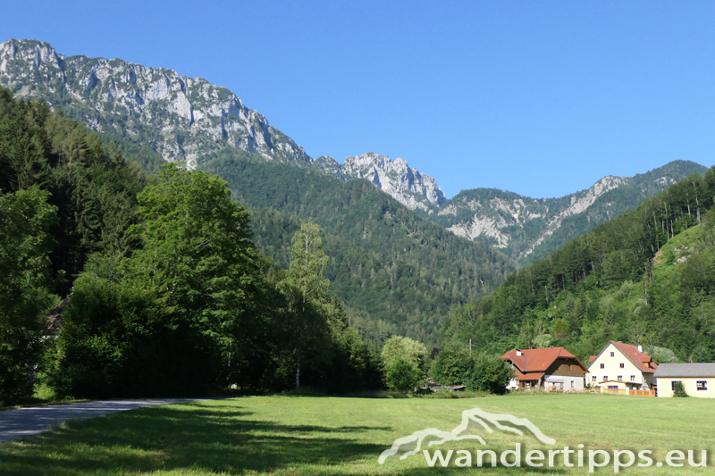 Rauher Kalbing Abbildung 2