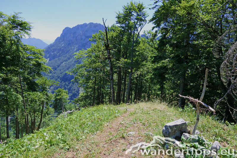 Rauher Kalbing Abbildung 11