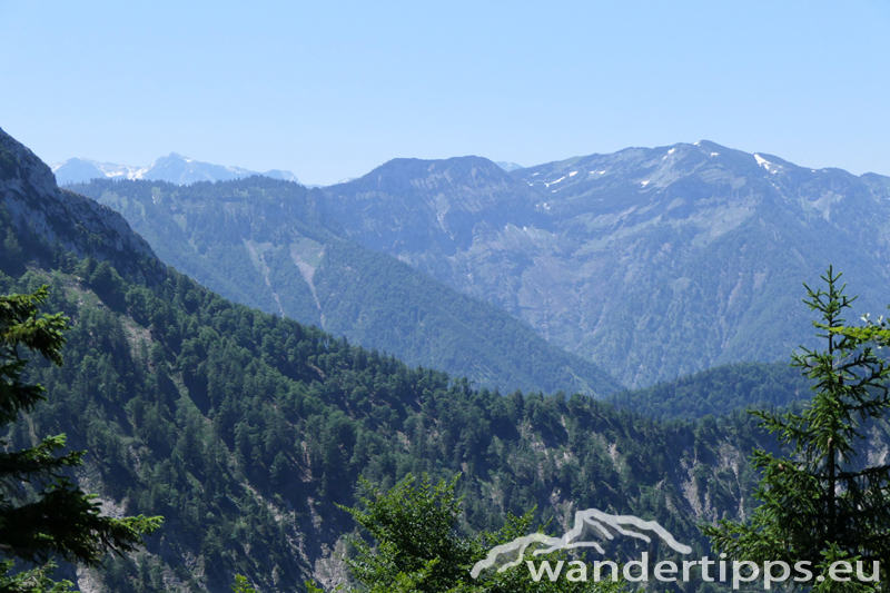 Rauher Kalbing Abbildung 12