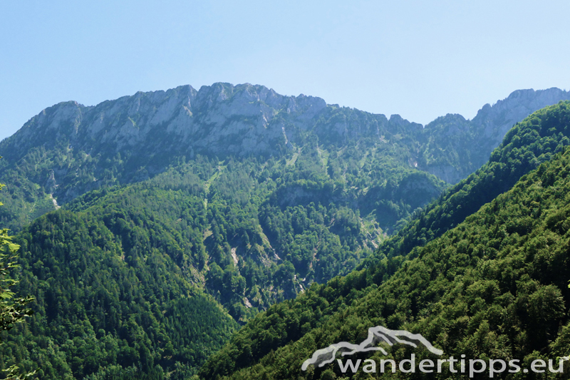 Rauher Kalbing Abbildung 15