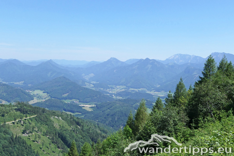 Rauher Kalbing Abbildung 6