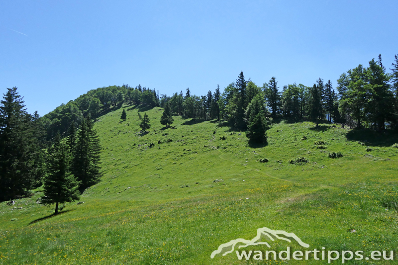 Rauher Kalbing Abbildung 10
