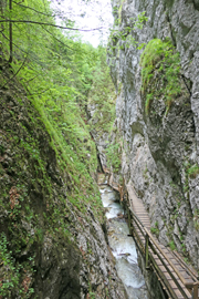 Arlingsattel/Pyhrgasgatterl Abbildung 3