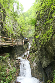 Arlingsattel/Pyhrgasgatterl Abbildung 4