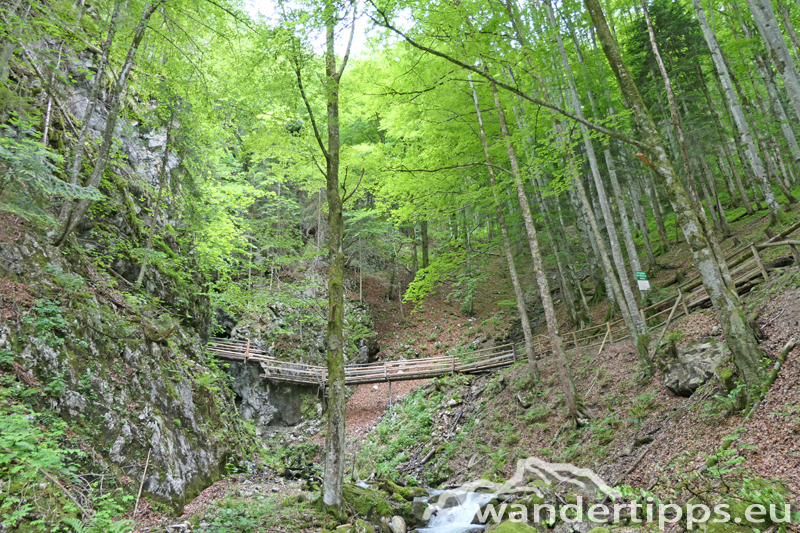 Arlingsattel/Pyhrgasgatterl Abbildung 2