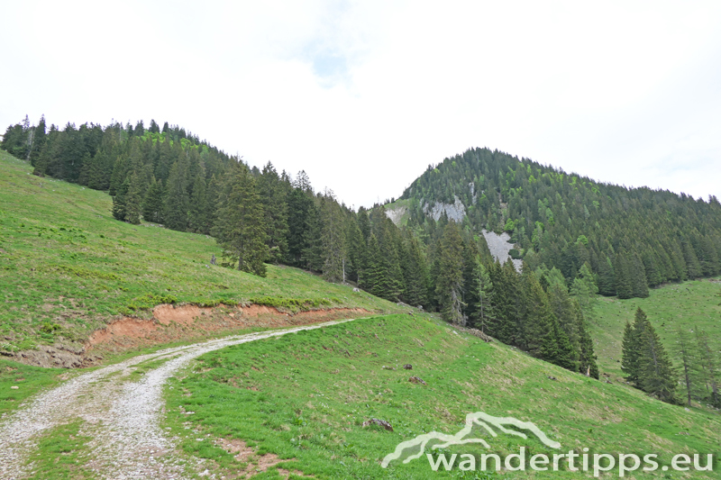 Arlingsattel/Pyhrgasgatterl Abbildung 15