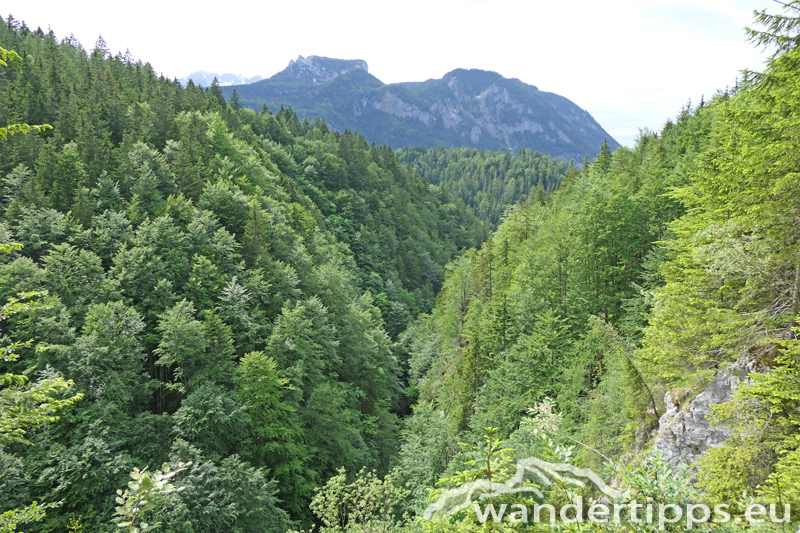 Arlingsattel/Pyhrgasgatterl Abbildung 20